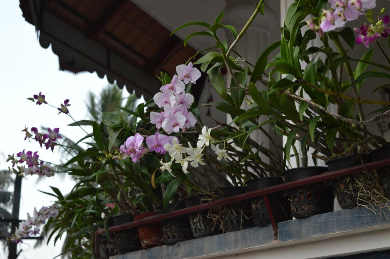 Dream Catcher Home Stay Kochi ภายนอก รูปภาพ